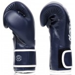 Перчатки боксерские Fairtex (BGV-14 blue)